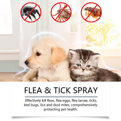 🥳 2026 HOT SALE🥳 💐50K+ SOLD!🍃🐾 50% OFF! Natural Flea & Tick Spray – Peppermint & tea tree oil, safe for cats & dogs. Soothes itchy skin, no harsh chemicals. Just spray & go. A gentle pest solution. 🌿✨
