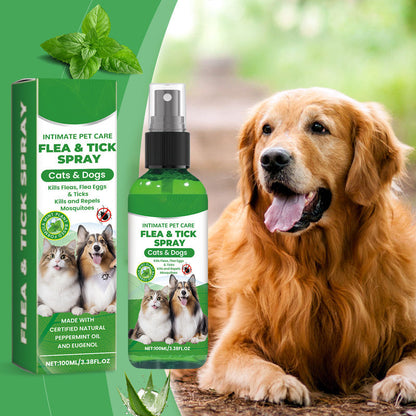 🥳 2026 HOT SALE🥳 💐50K+ SOLD!🍃🐾 50% OFF! Natural Flea & Tick Spray – Peppermint & tea tree oil, safe for cats & dogs. Soothes itchy skin, no harsh chemicals. Just spray & go. A gentle pest solution. 🌿✨