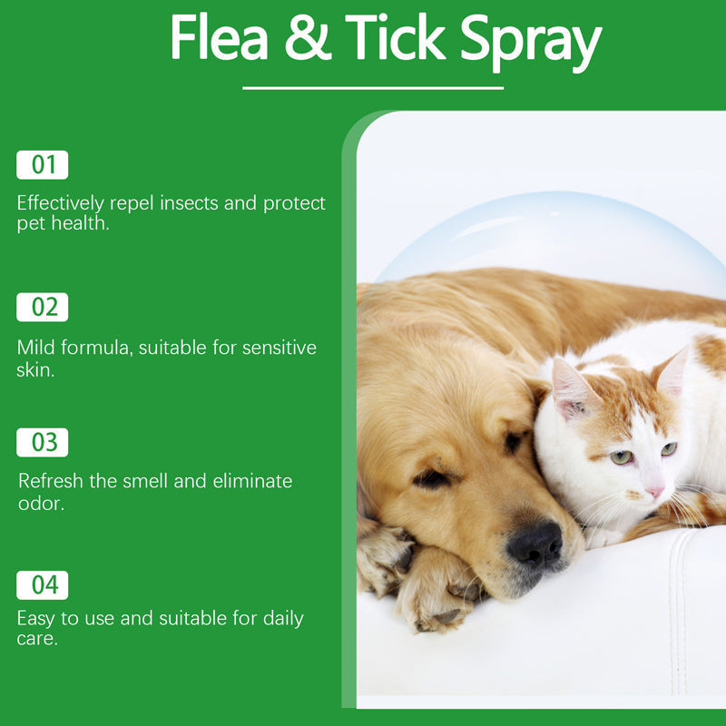 🥳 2026 HOT SALE🥳 💐50K+ SOLD!🍃🐾 50% OFF! Natural Flea & Tick Spray – Peppermint & tea tree oil, safe for cats & dogs. Soothes itchy skin, no harsh chemicals. Just spray & go. A gentle pest solution. 🌿✨