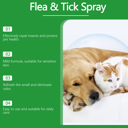 🥳 2026 HOT SALE🥳 💐50K+ SOLD!🍃🐾 50% OFF! Natural Flea & Tick Spray – Peppermint & tea tree oil, safe for cats & dogs. Soothes itchy skin, no harsh chemicals. Just spray & go. A gentle pest solution. 🌿✨